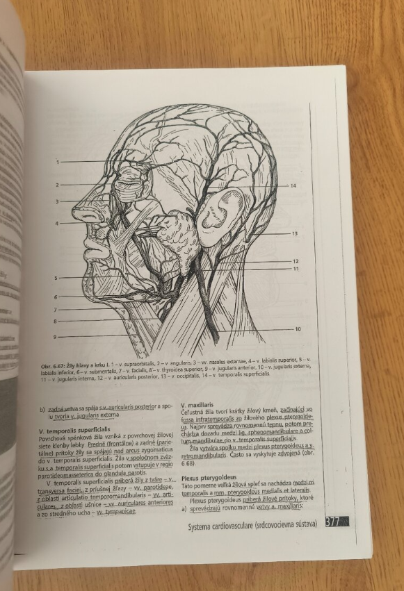 Anatómia ľudského tela, Peter Mráz - 3