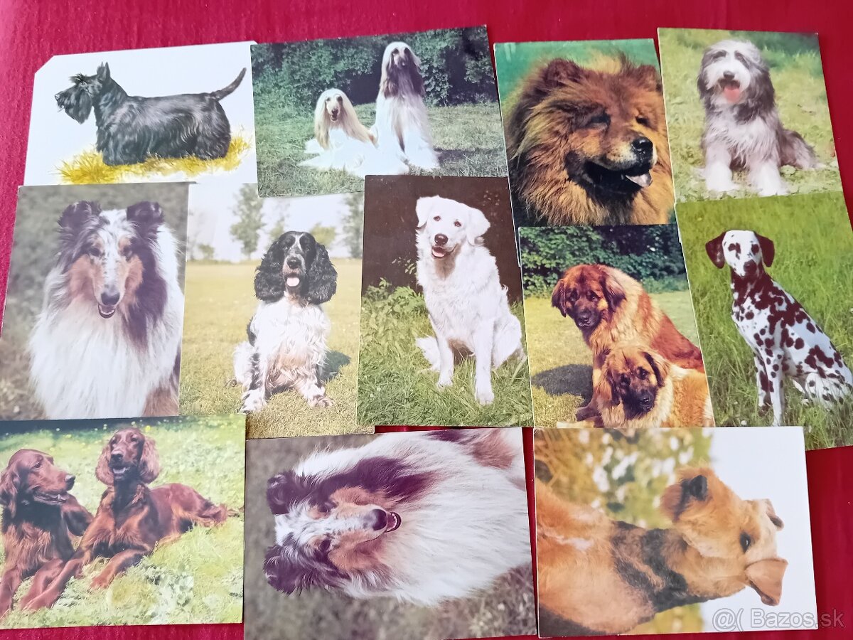 Známky 500 fauna - 3