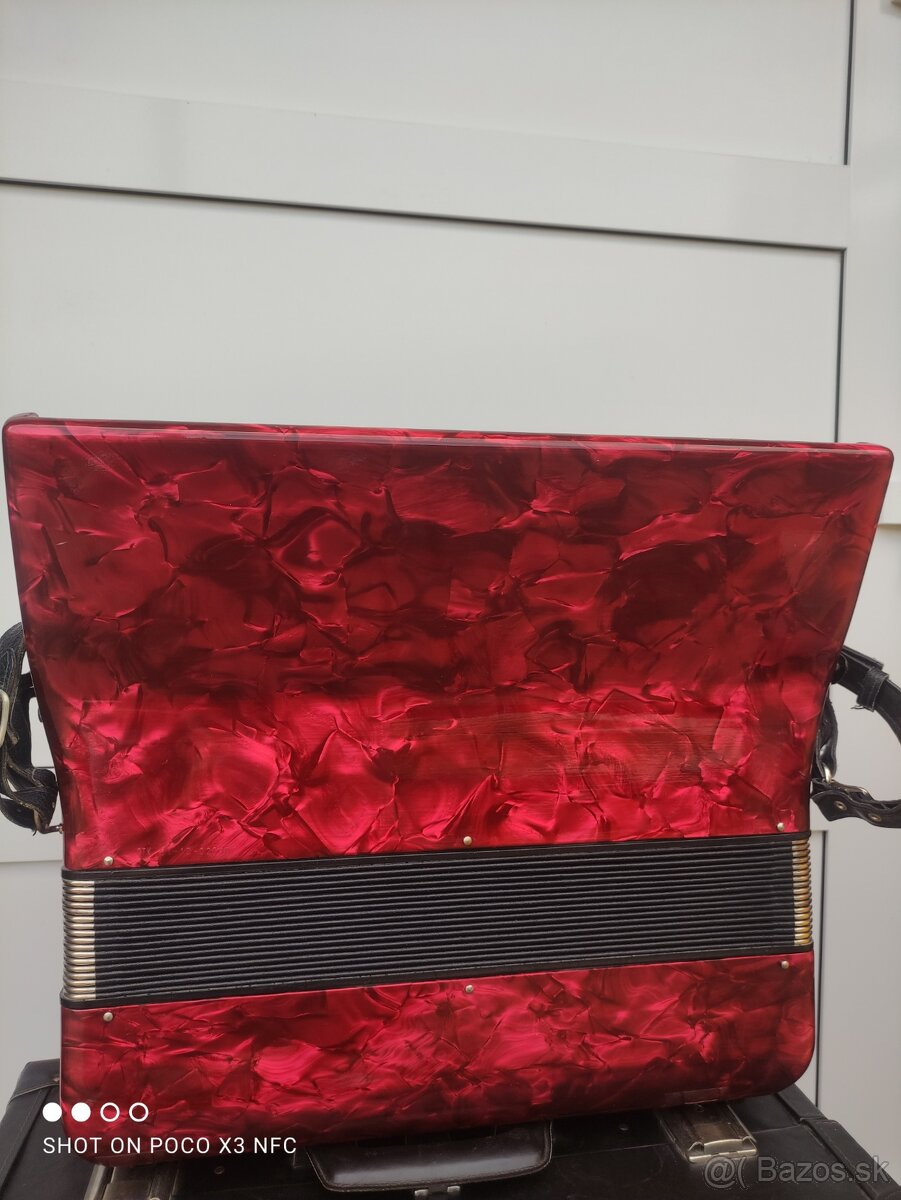 Delicia Carmen 96 basov - 3