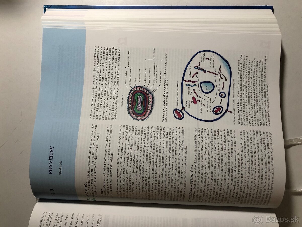Lekárska mikrobiológia - 3
