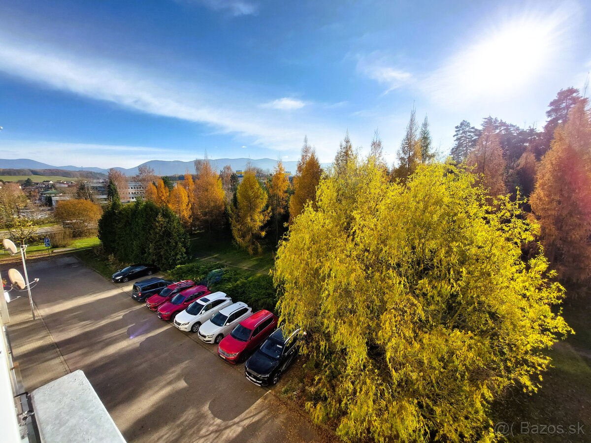 REZERVÁCIA EXKLUZÍVNE Garsónka s balkónom, Žilina - V - 3