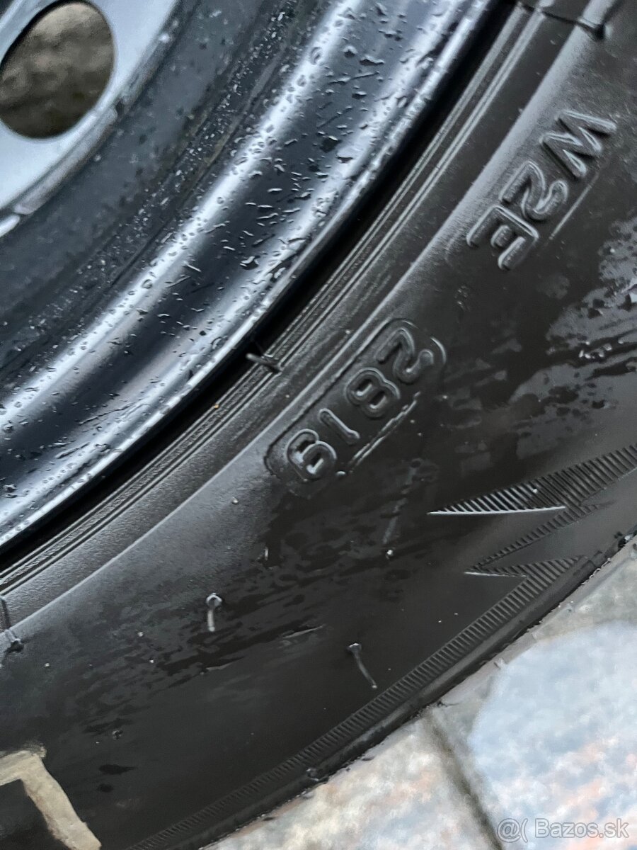 Kopletna zimna sada - 3