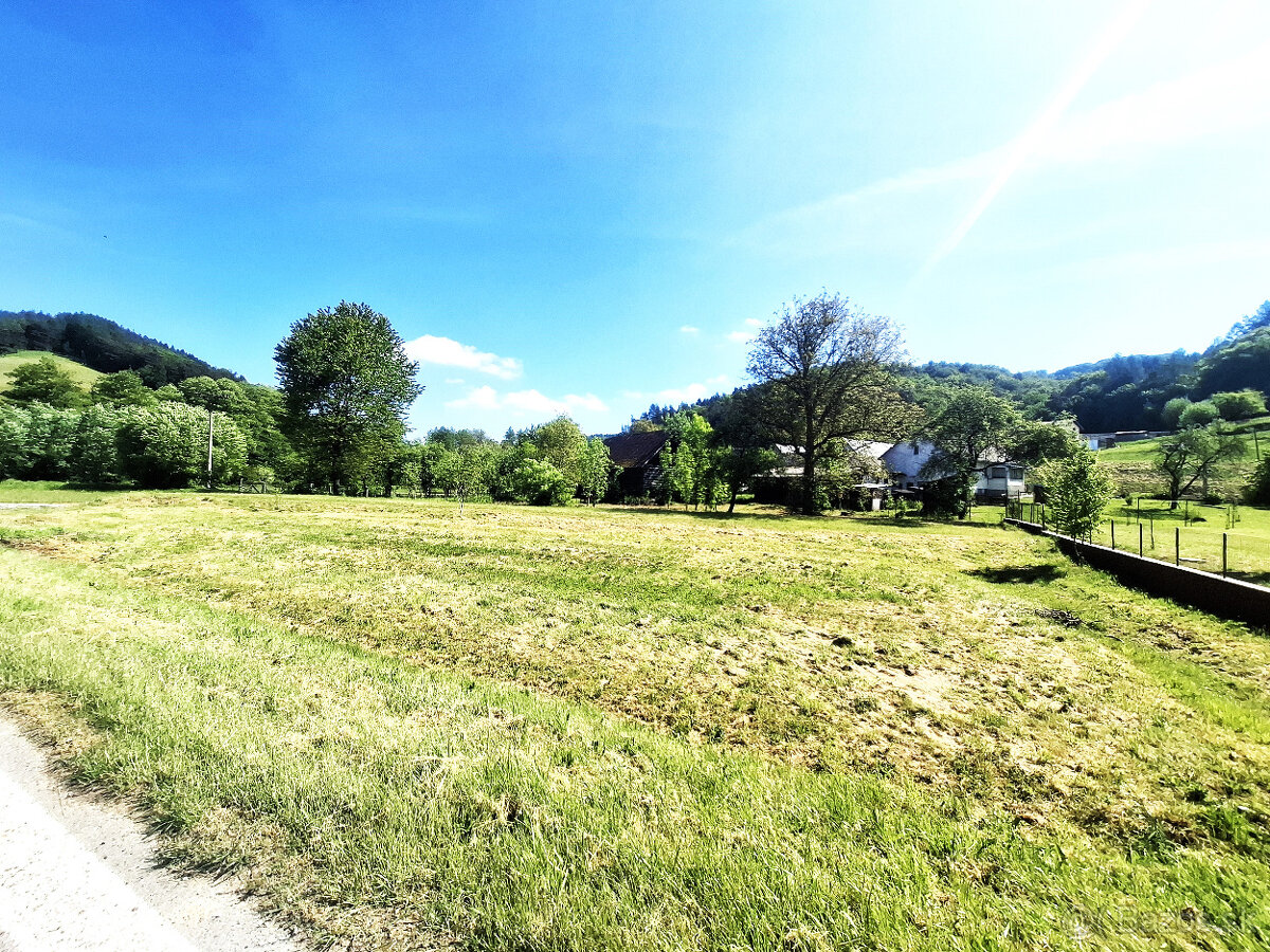 Pozemok v obci Mičakovce okres Svidník - 3