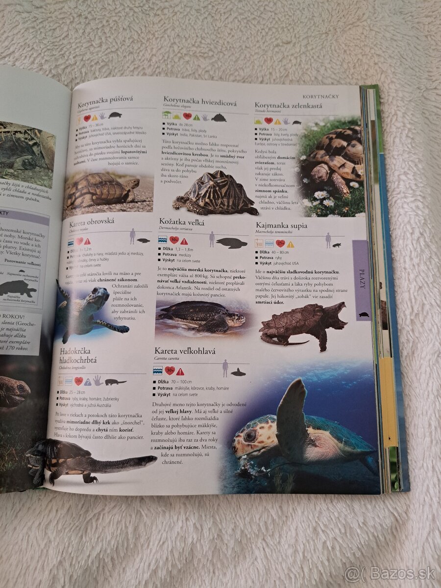 Živočíchy detská encyklopédia - 3