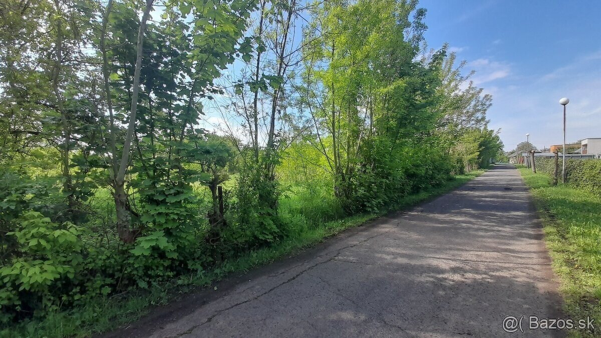 Predaj pozemku so starým domom v obci Budkovce okres MI - 3