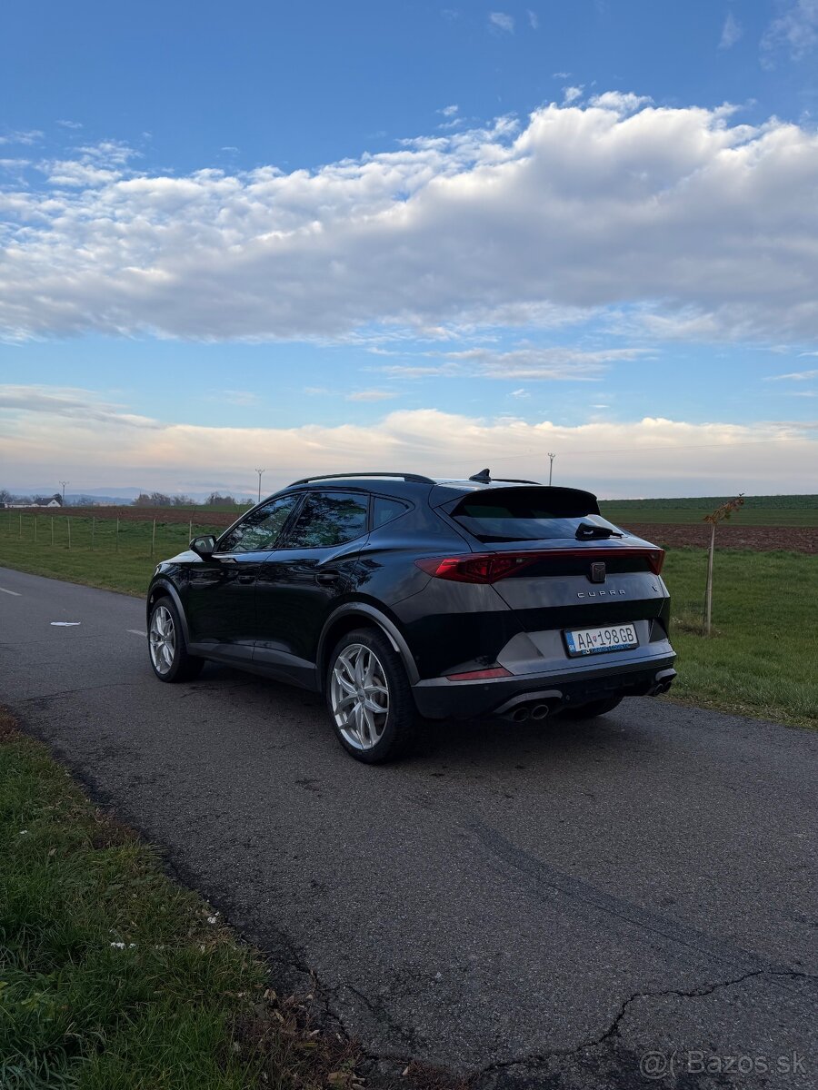 Cupra Formentor Vz 2.0tsi 310k - 3