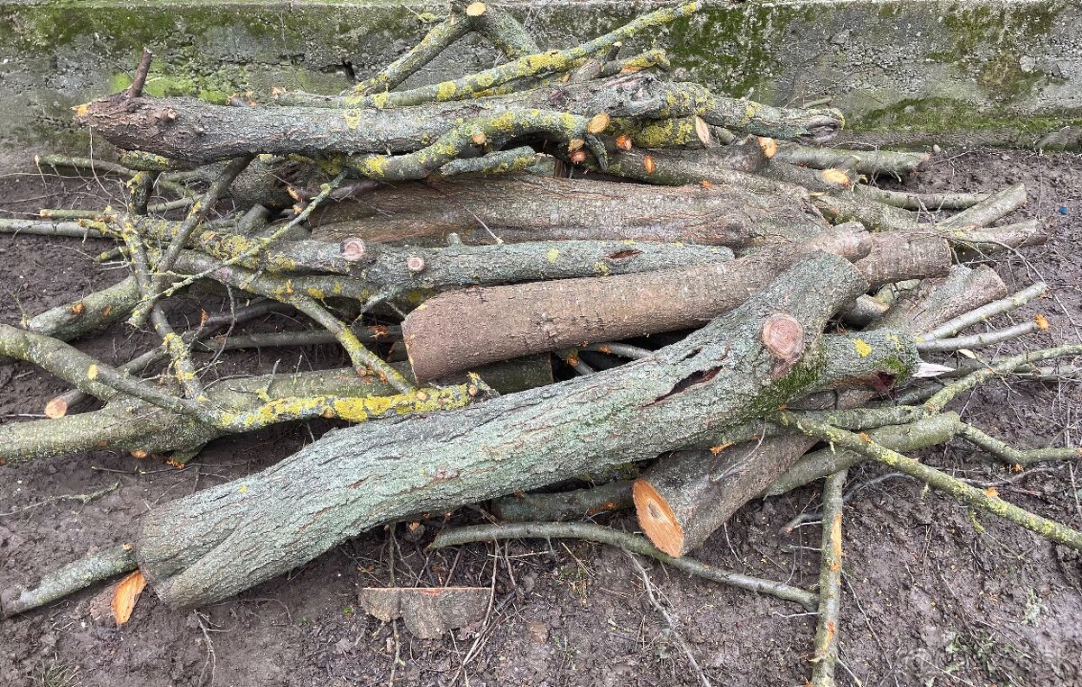 Drevo na údenie - 3