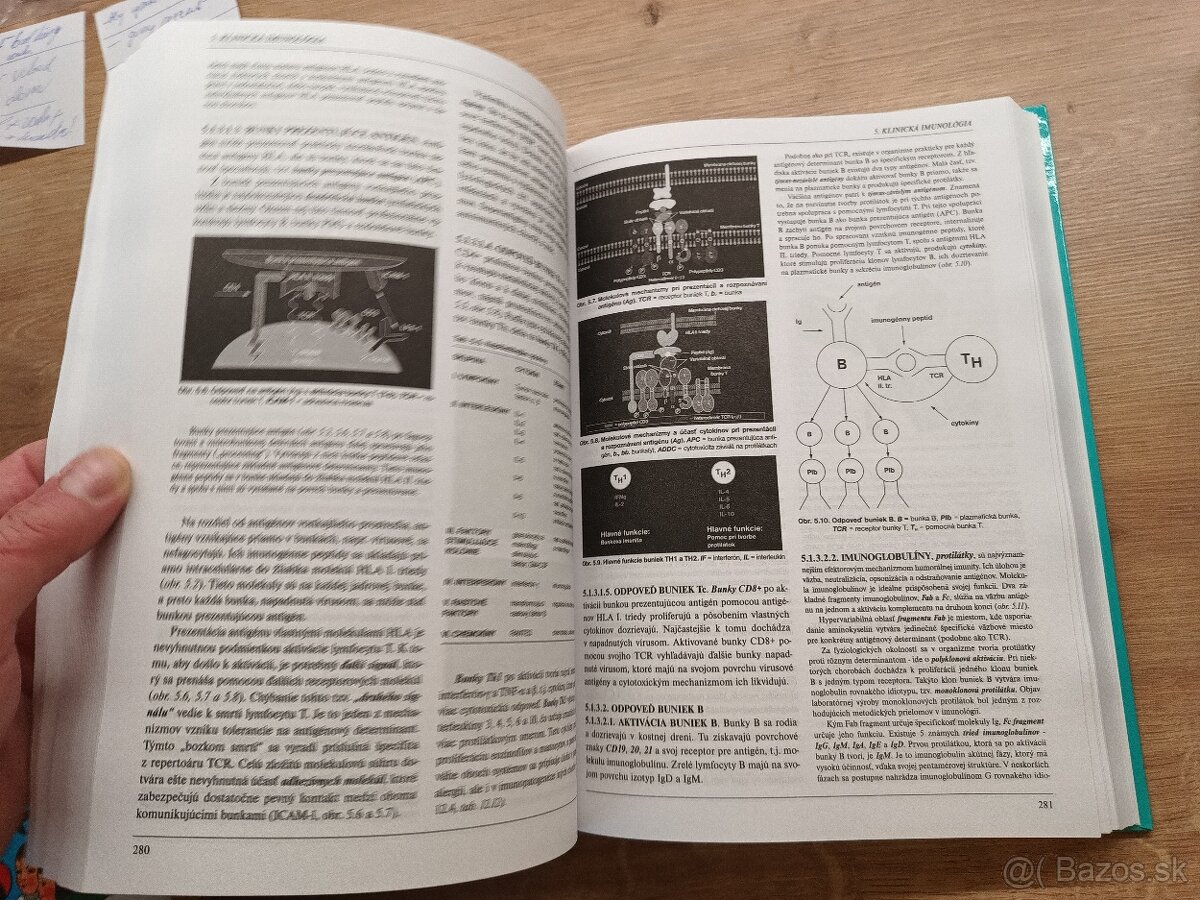 Pediatria I.,II., 1998 - 3