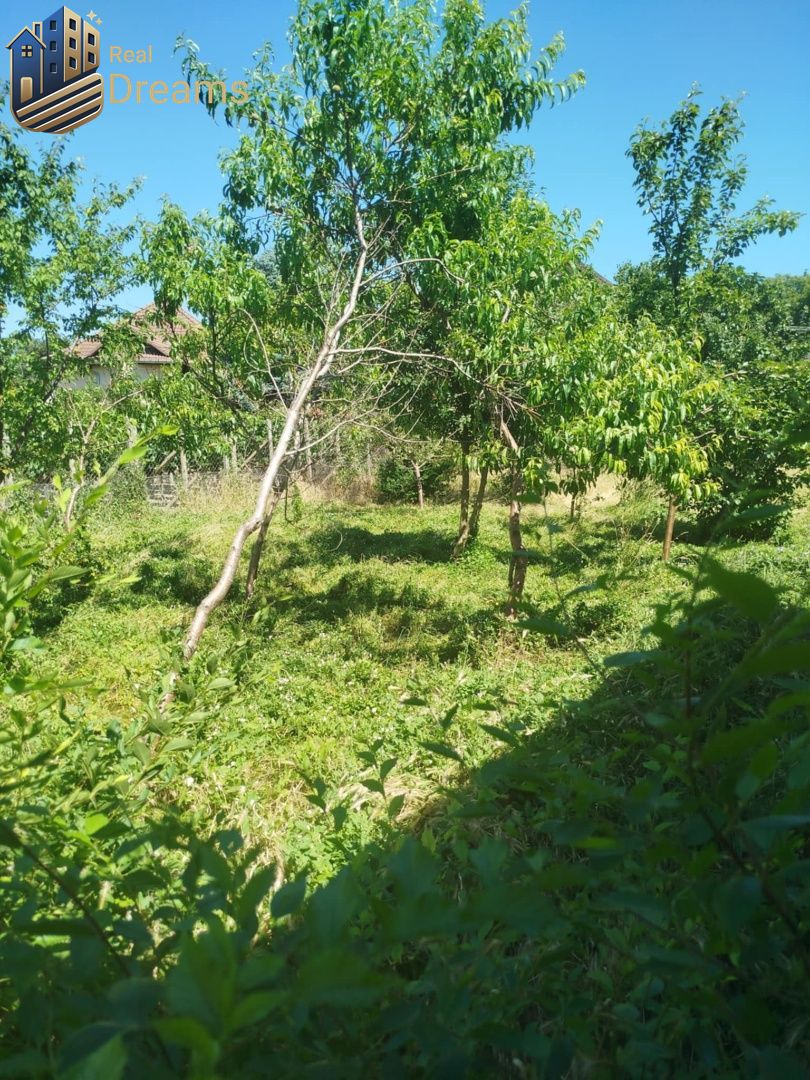 Rodinný dom s prístavbou na podnikanie – Tešedíkovo - 3