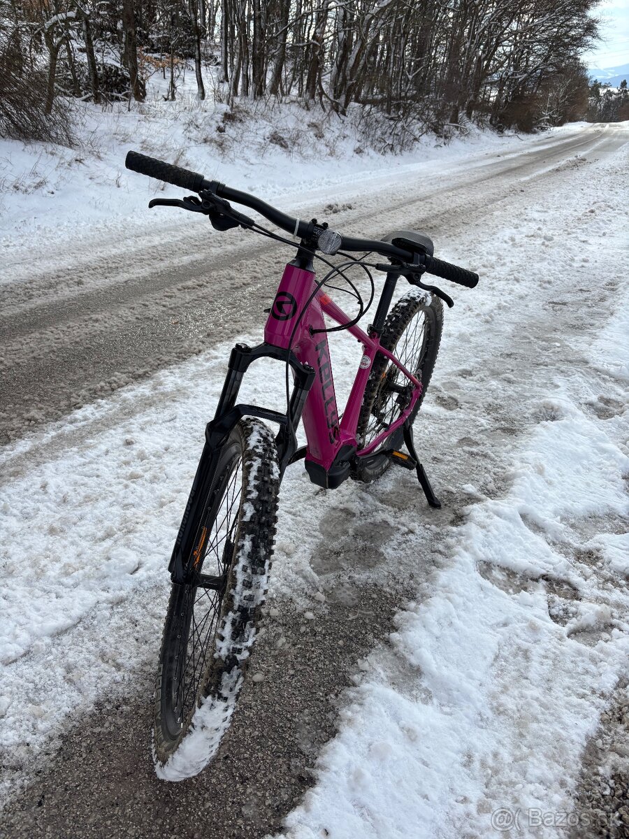 Predam Kellys Tayen R50 S - 3