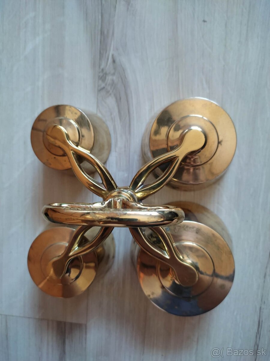 Zvonček stvorhlasny - 3