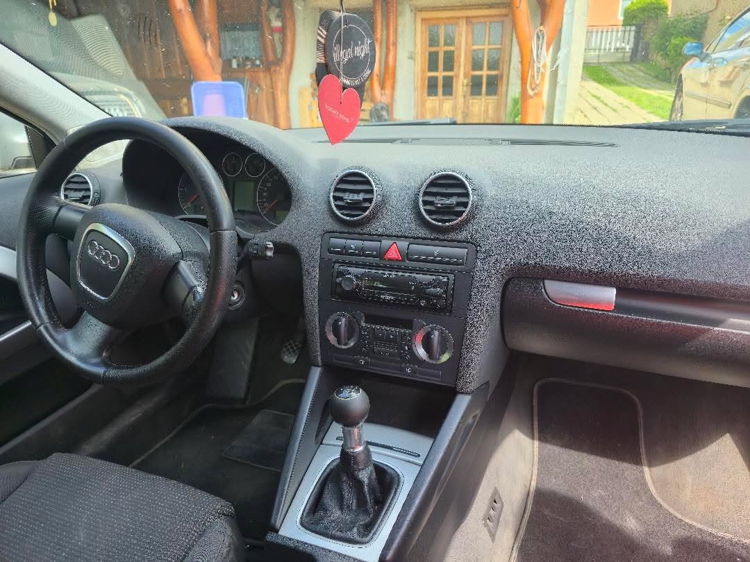 Audi A3 8P 2.0 TDI BKD - 3