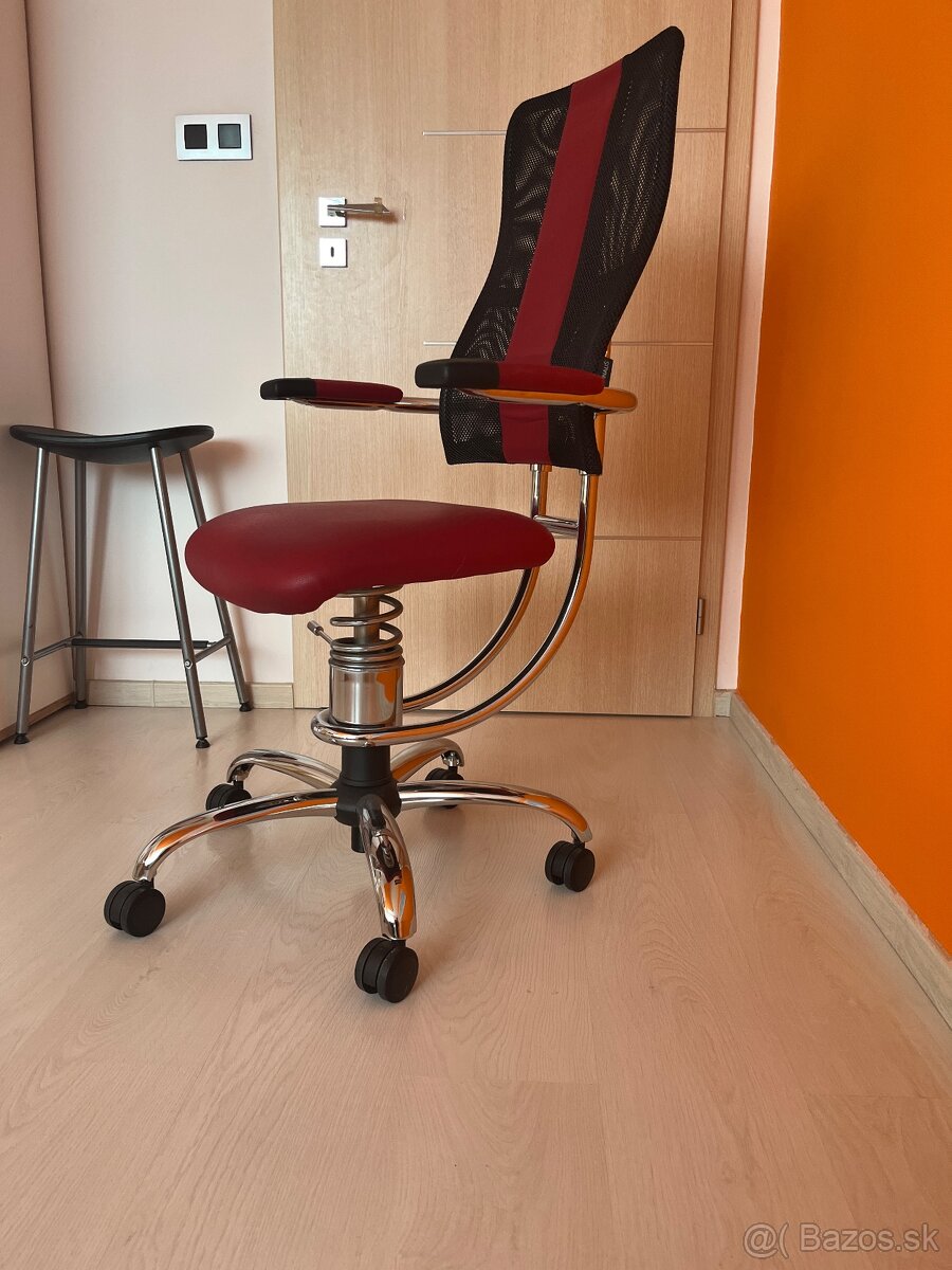 spinalis stolicka - 3