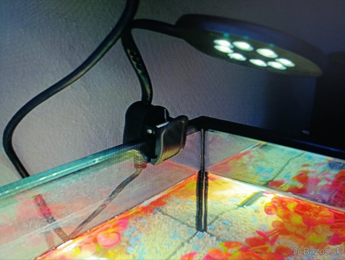 Akvárium plus ine - 3