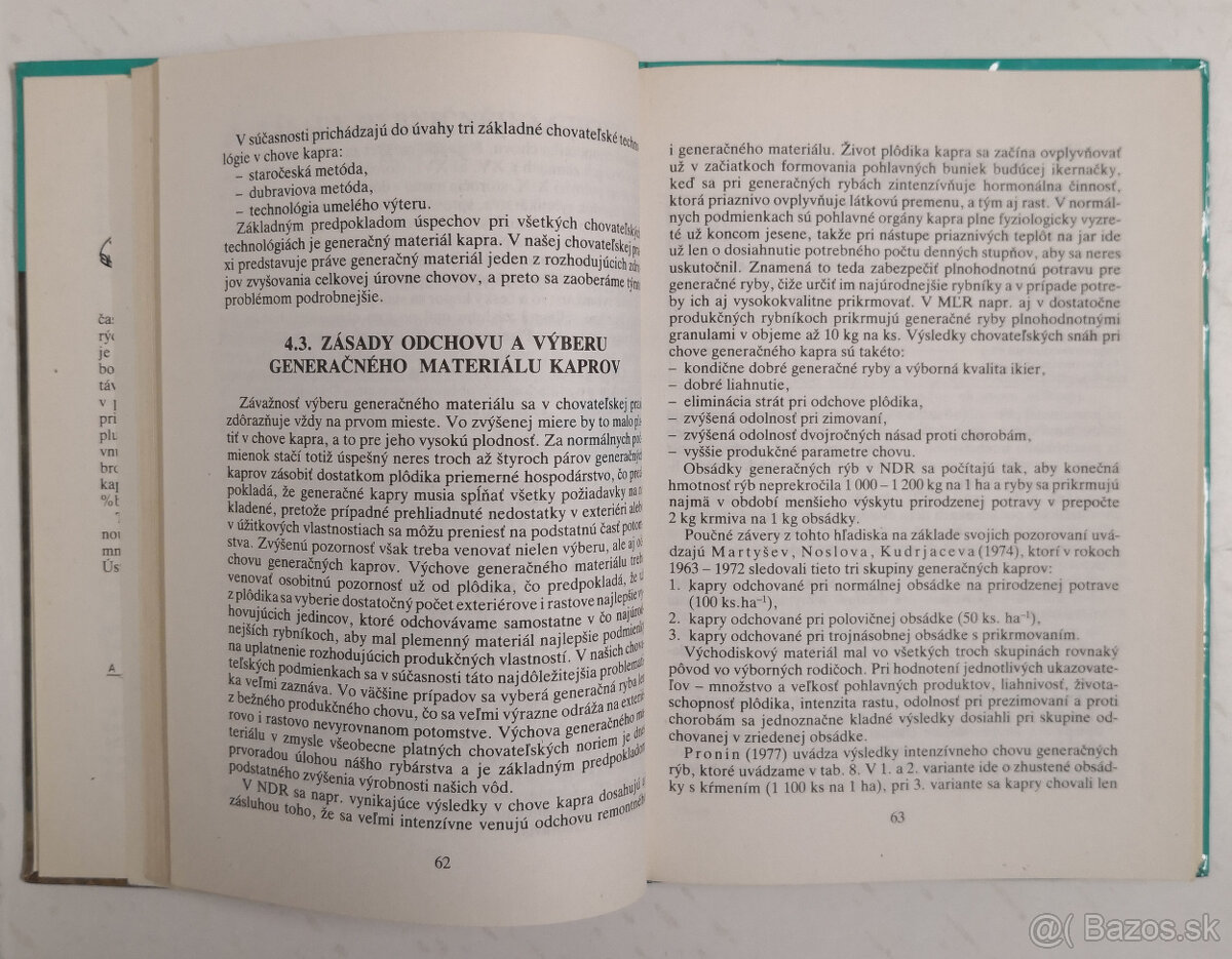 Kapor - 3