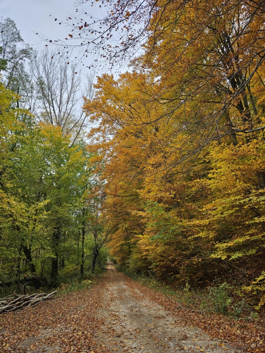 Rekreačný pozemok, 717 m2, Horné Bzince- Cetuna - 3