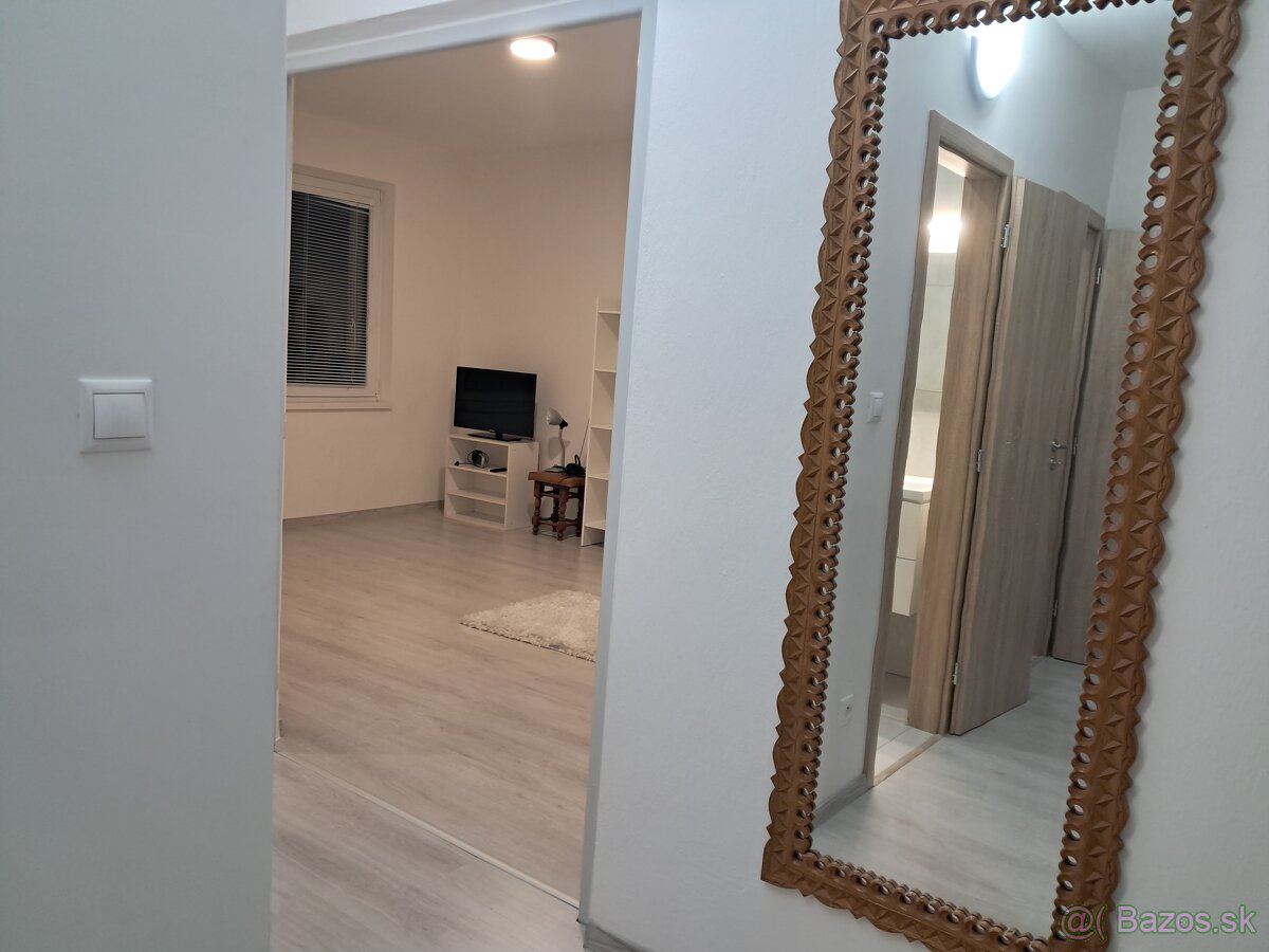 Prenajmem 1 izbový byt s balkónom - 3