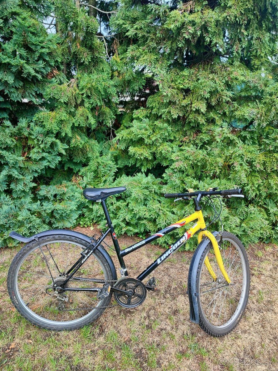 Lincoln berenica - 3