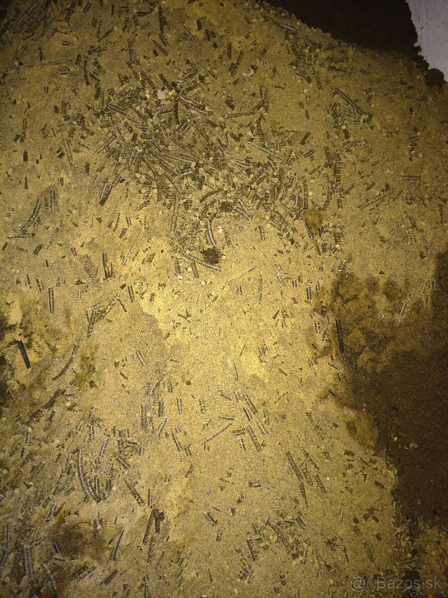 Odpad pod lisu repkové oleja - 3