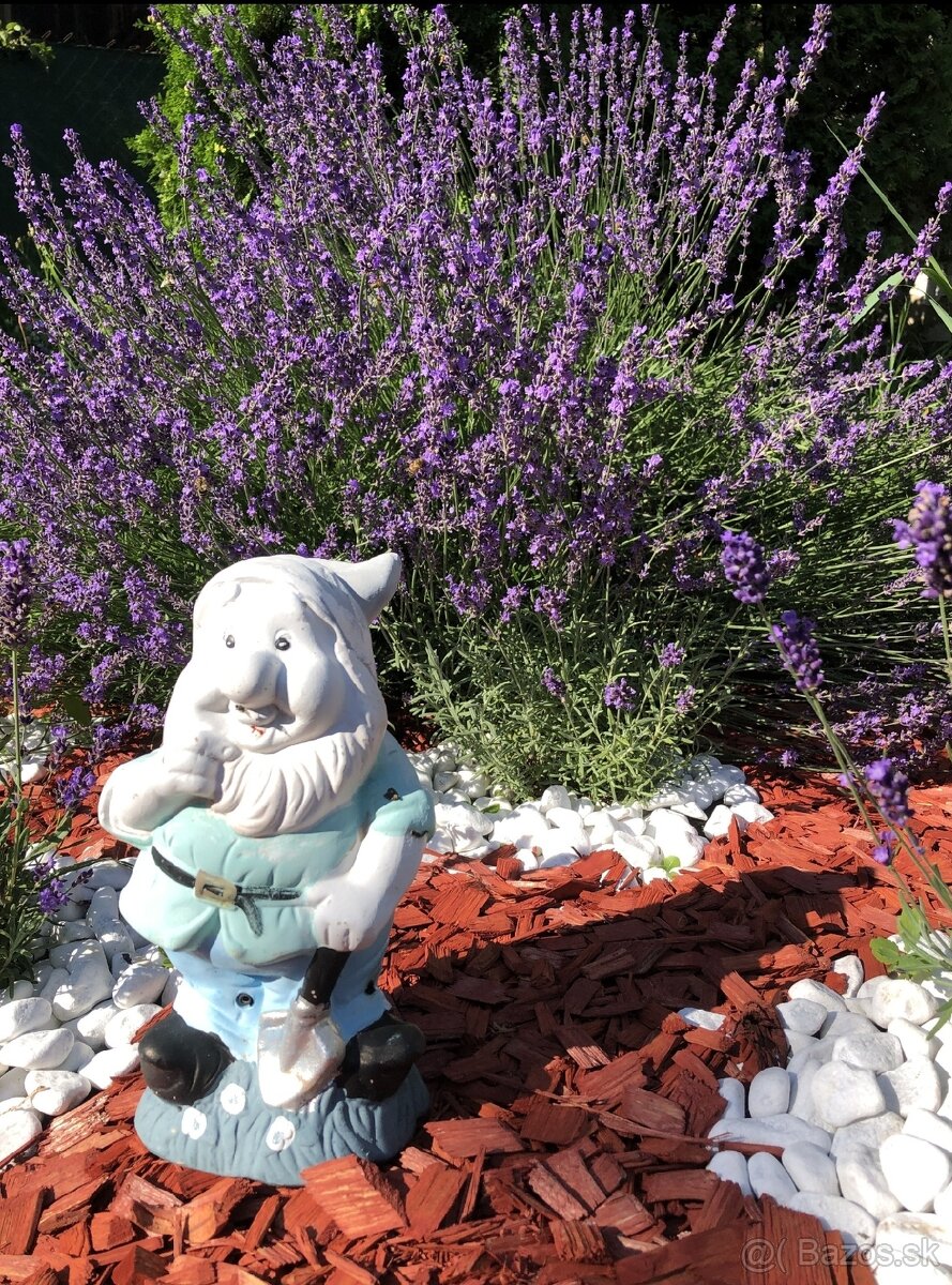 Levanduľa lekárska - vrecúško plnené levanduľovým kvetom - 3