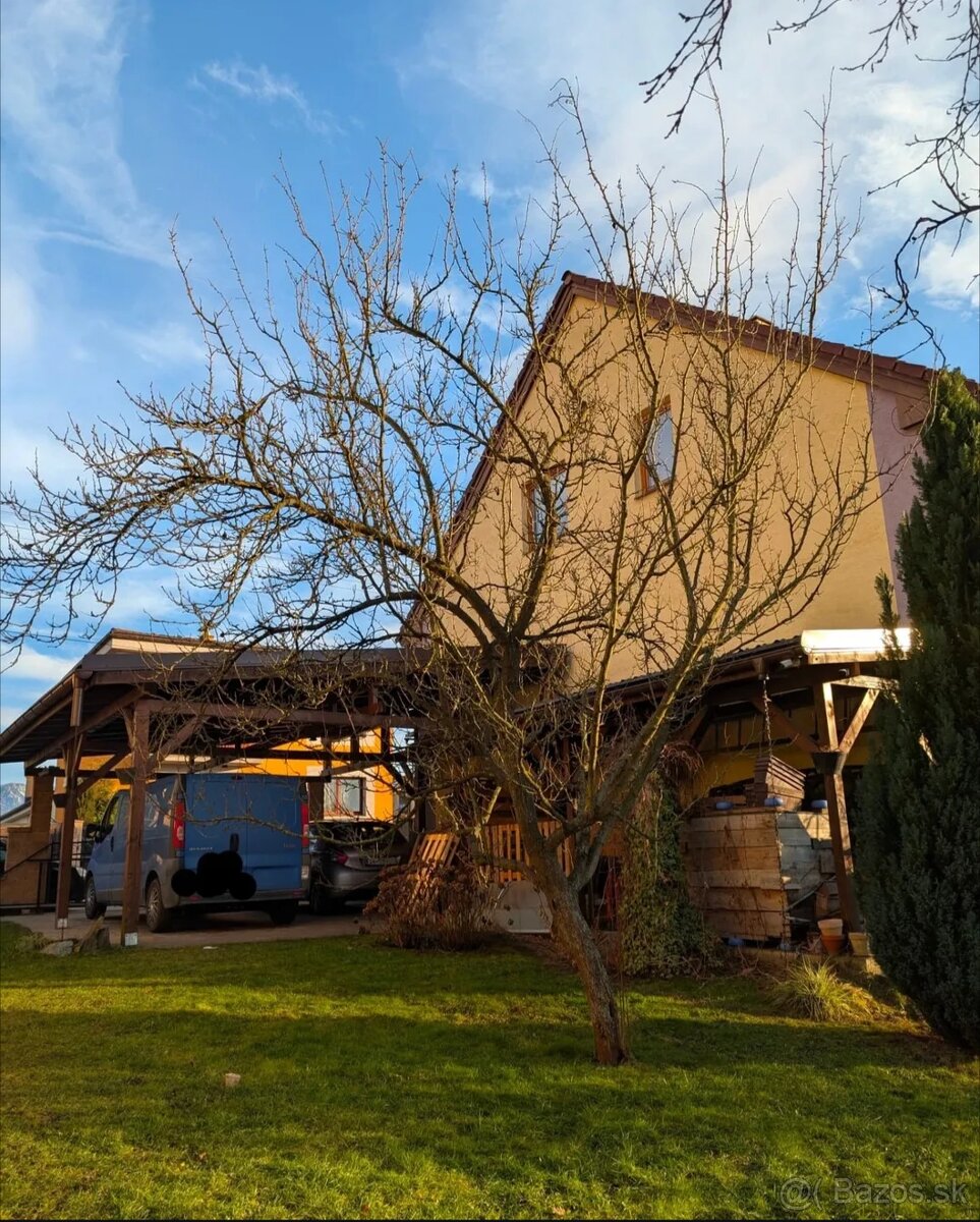 🌳 Rez ovocných stromov – december až marec 🌳 TT, TN, ZA... - 3