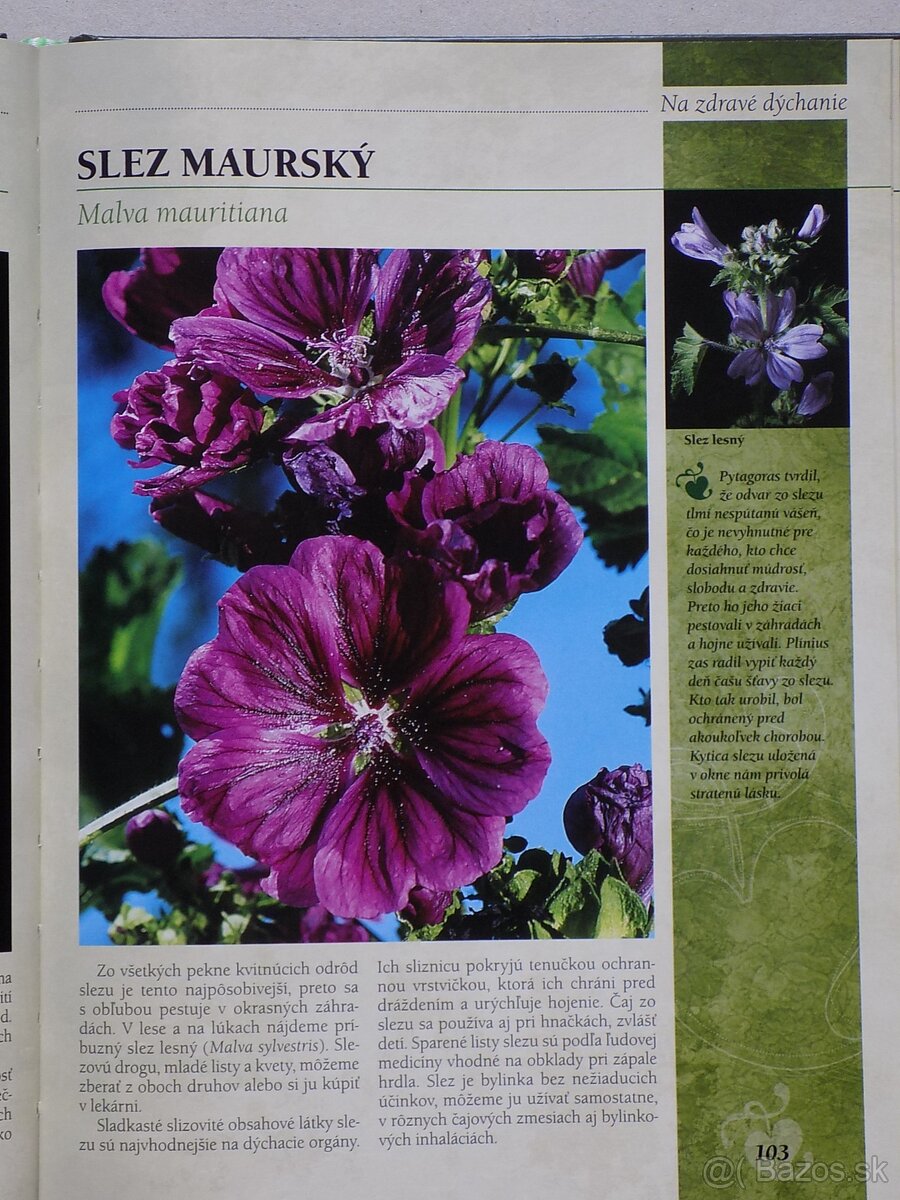 Bylinkový receptár,Vinič,Abeceda záhradkára a iné - 3