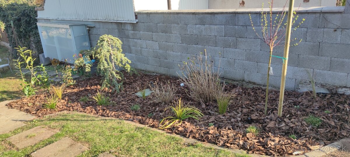 Záhradnícke práce, záhradnícke služby - 3