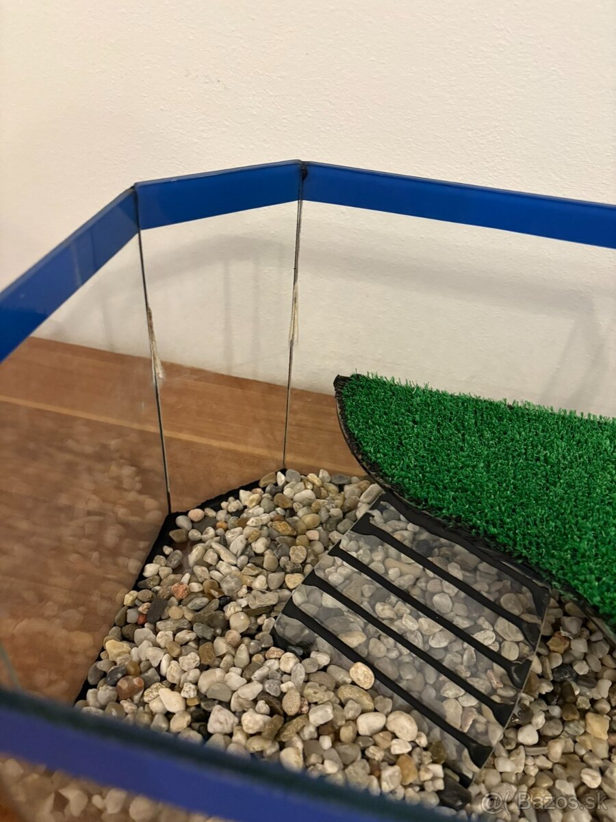 Terárium pre korytnačku - 3