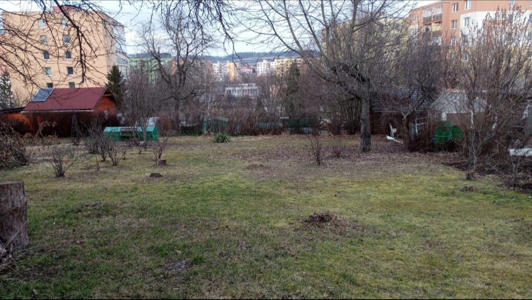 Predám záhradku SNV Mier - 3