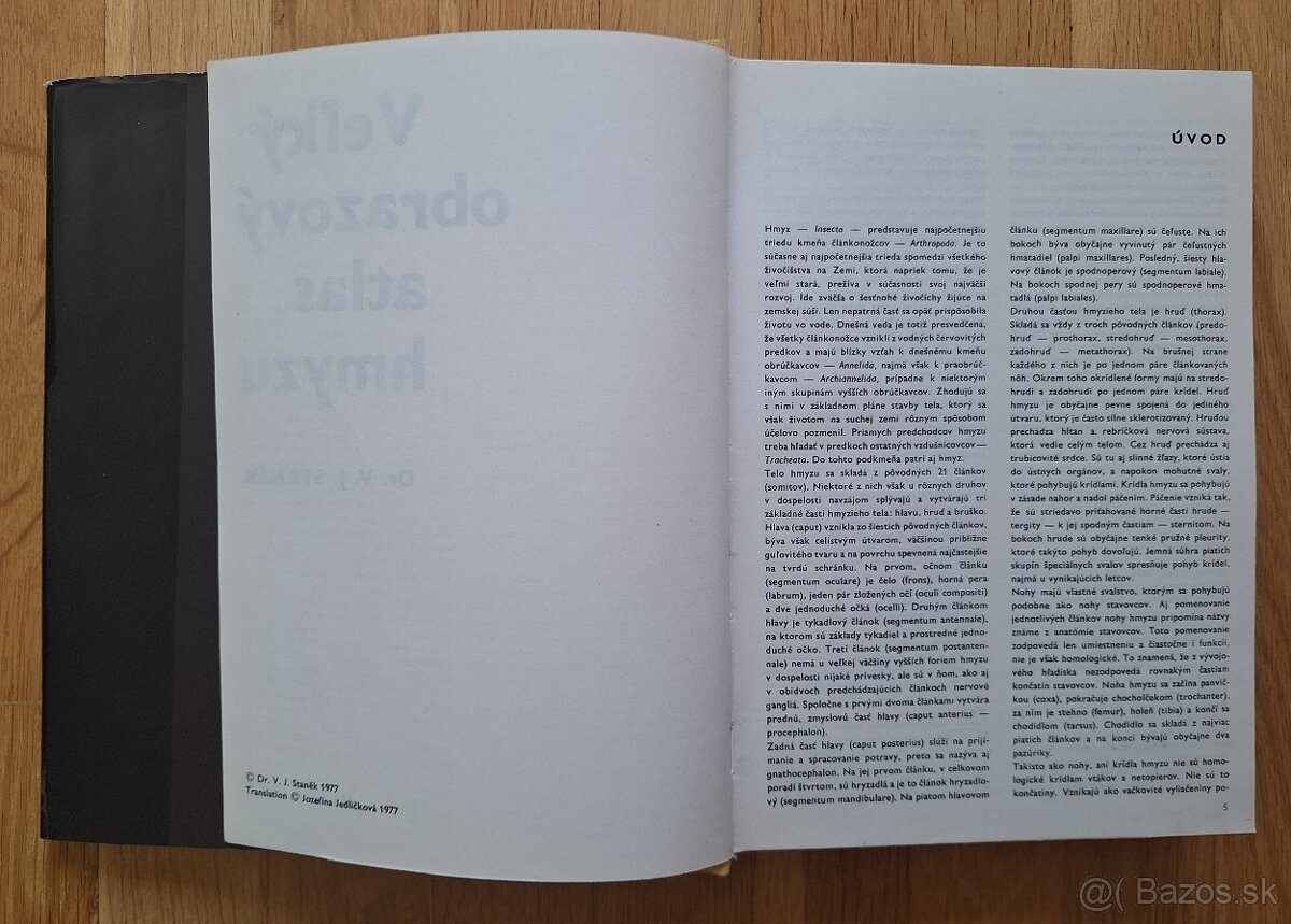 Velky obrazovy atlas hmyzu - 3