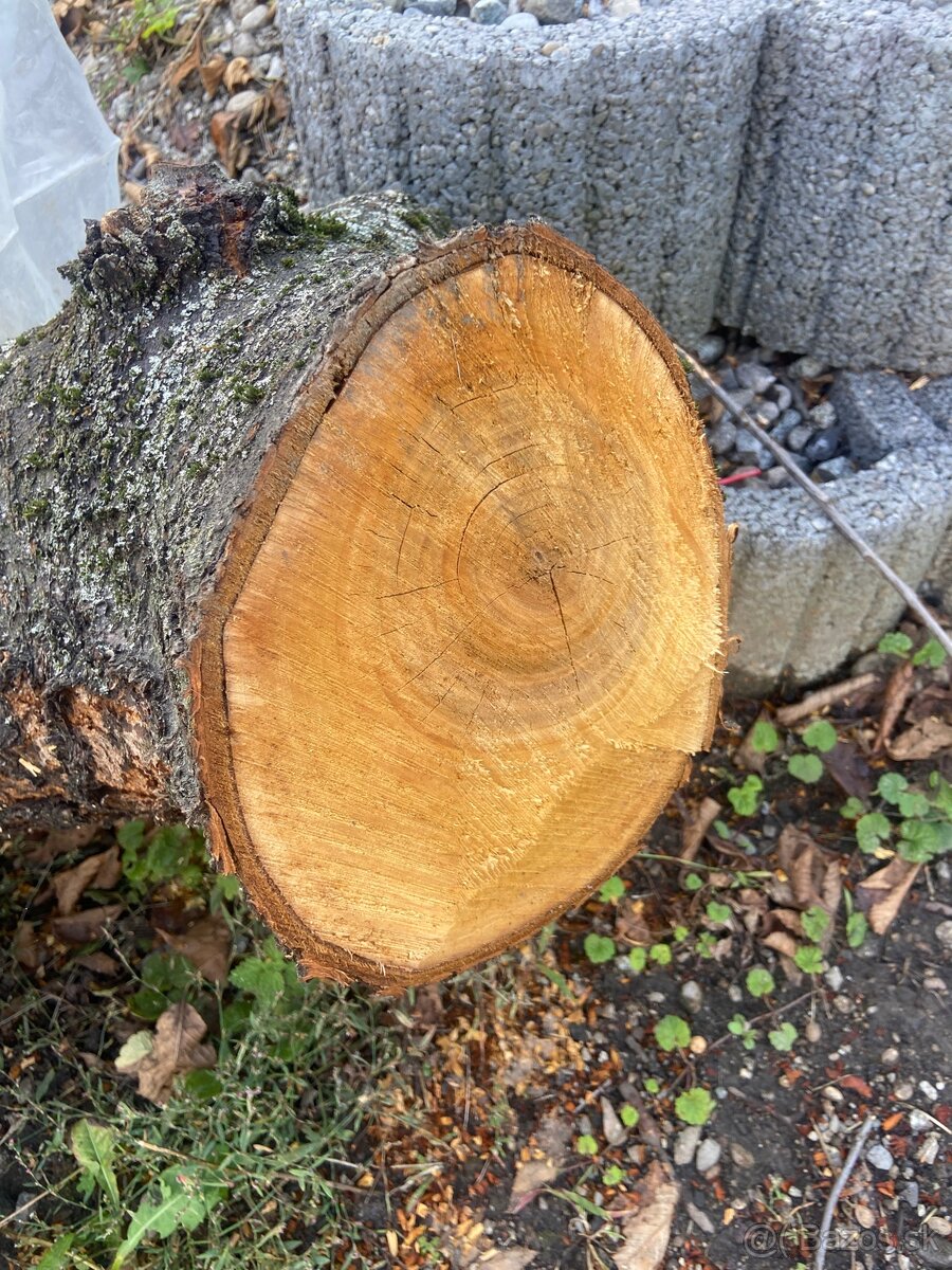 Čerešňove drevo - 3