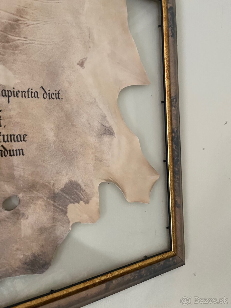 Obraz 83x57 latinský citát - 3