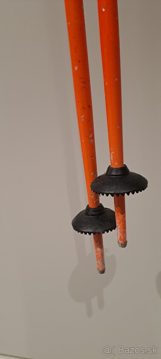 Lyziarske palice - 3