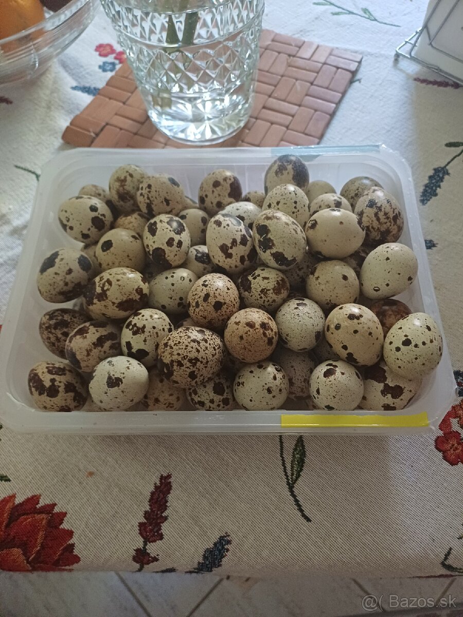 Prepeličie vajíčka - 3