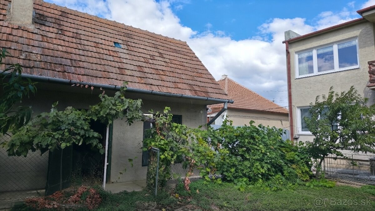 Fotografia 3
