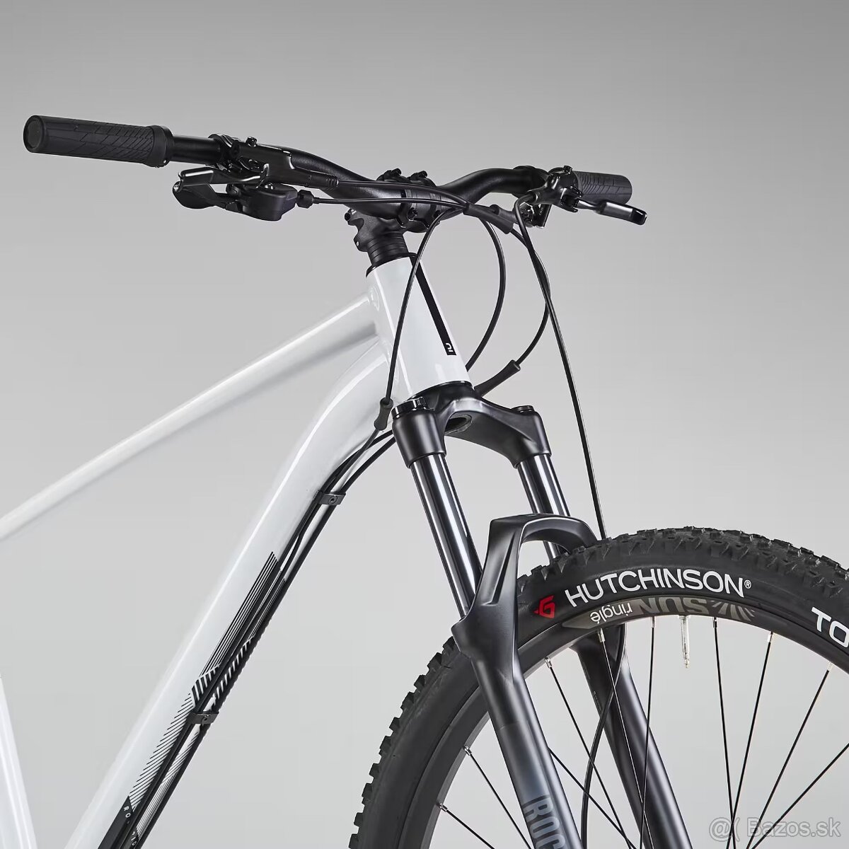 Rockrider hartail am 100 - 3