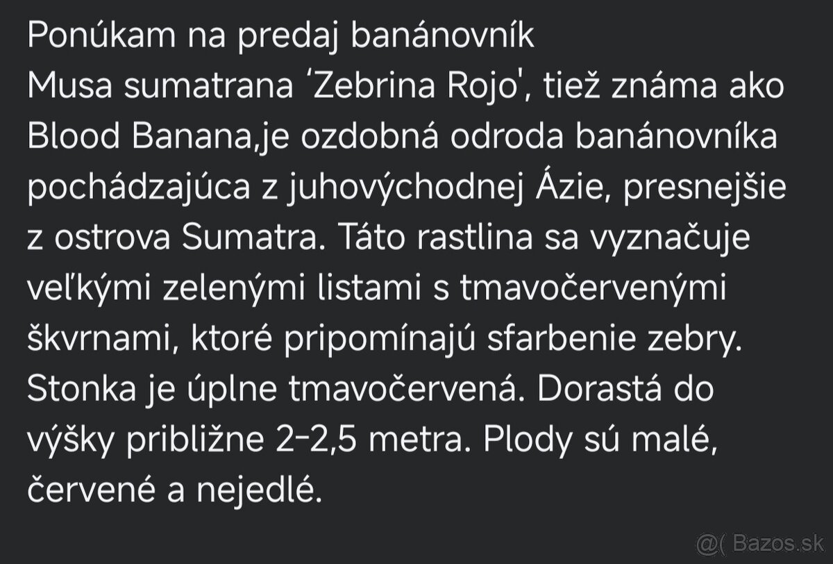 Bananovnik - 3