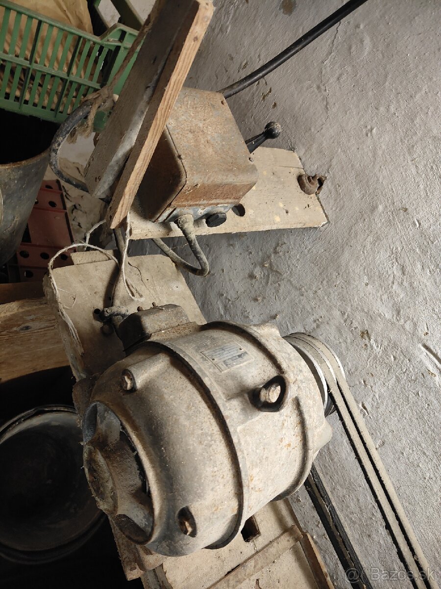 Kladivkovy šrotovnik - 3