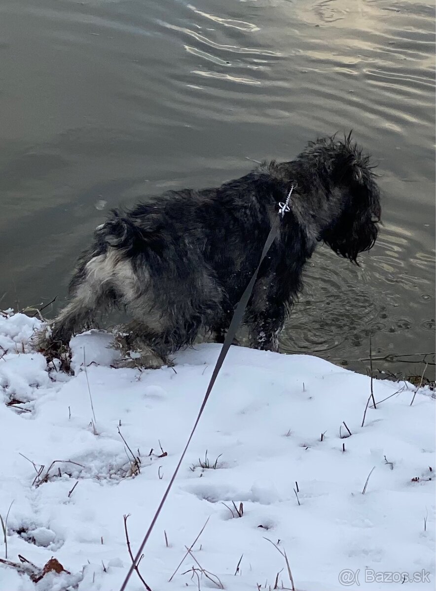 Stredný Bradáč - 3