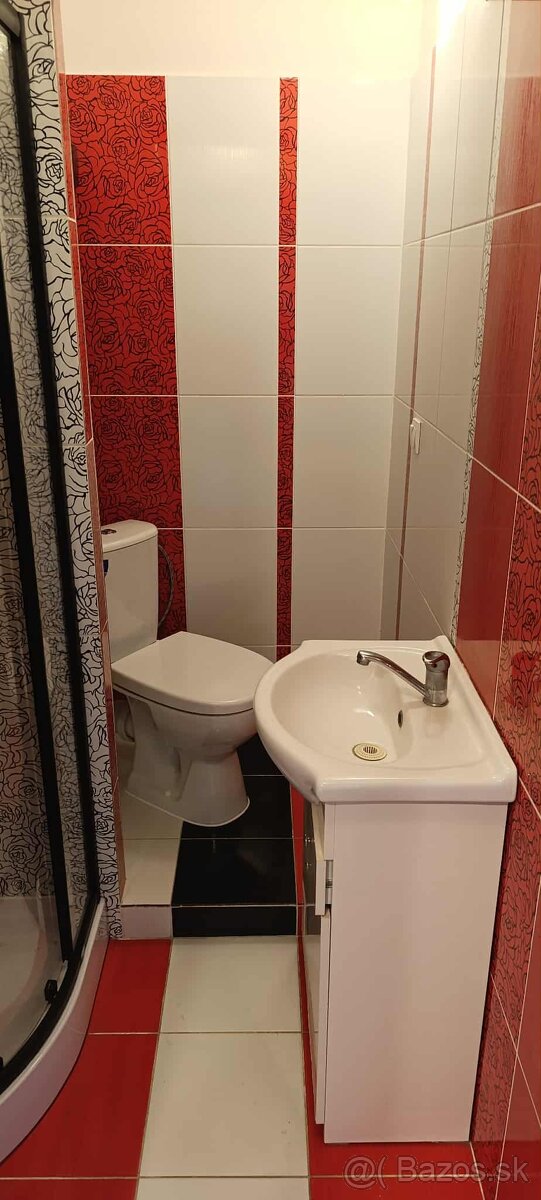 1 izbovy byt na prenajom - 3