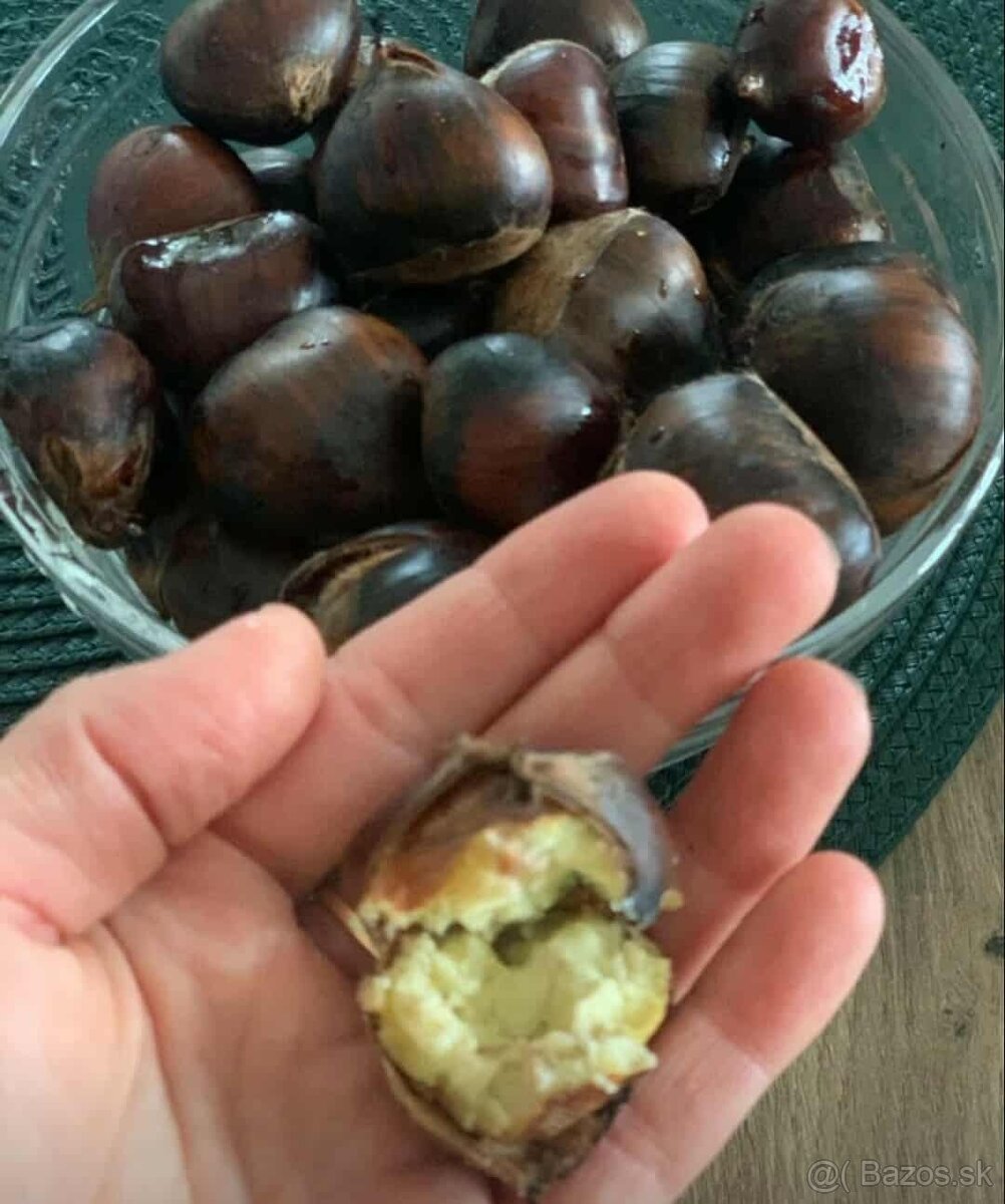 Dobrý den predám - 3