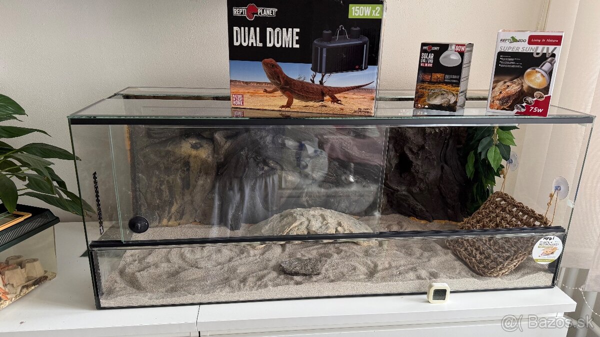 terarium pre agamu - 3