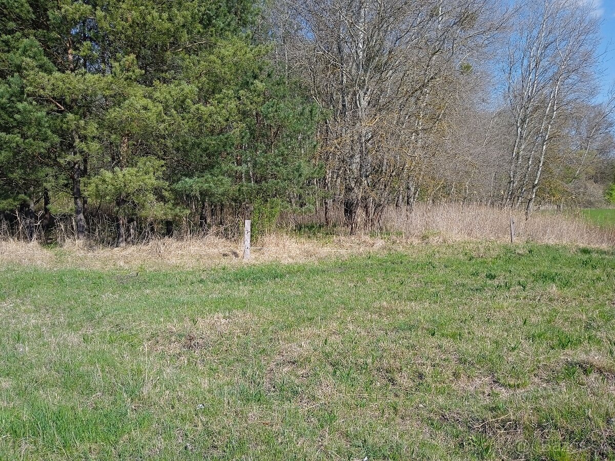 Dam do prenajmu les 800m2. - 3