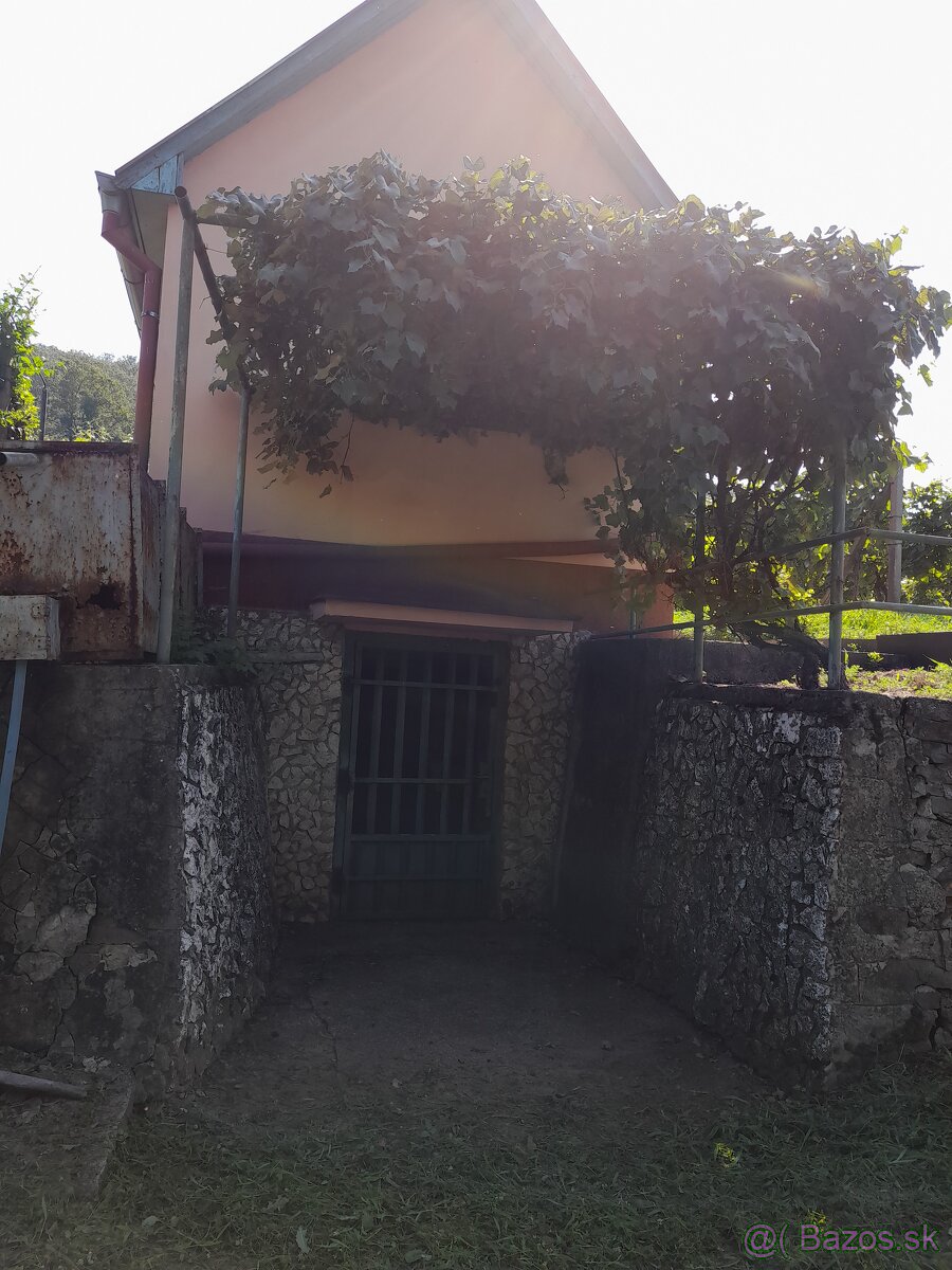 Vinohrad v Tokajskej oblasti - 3