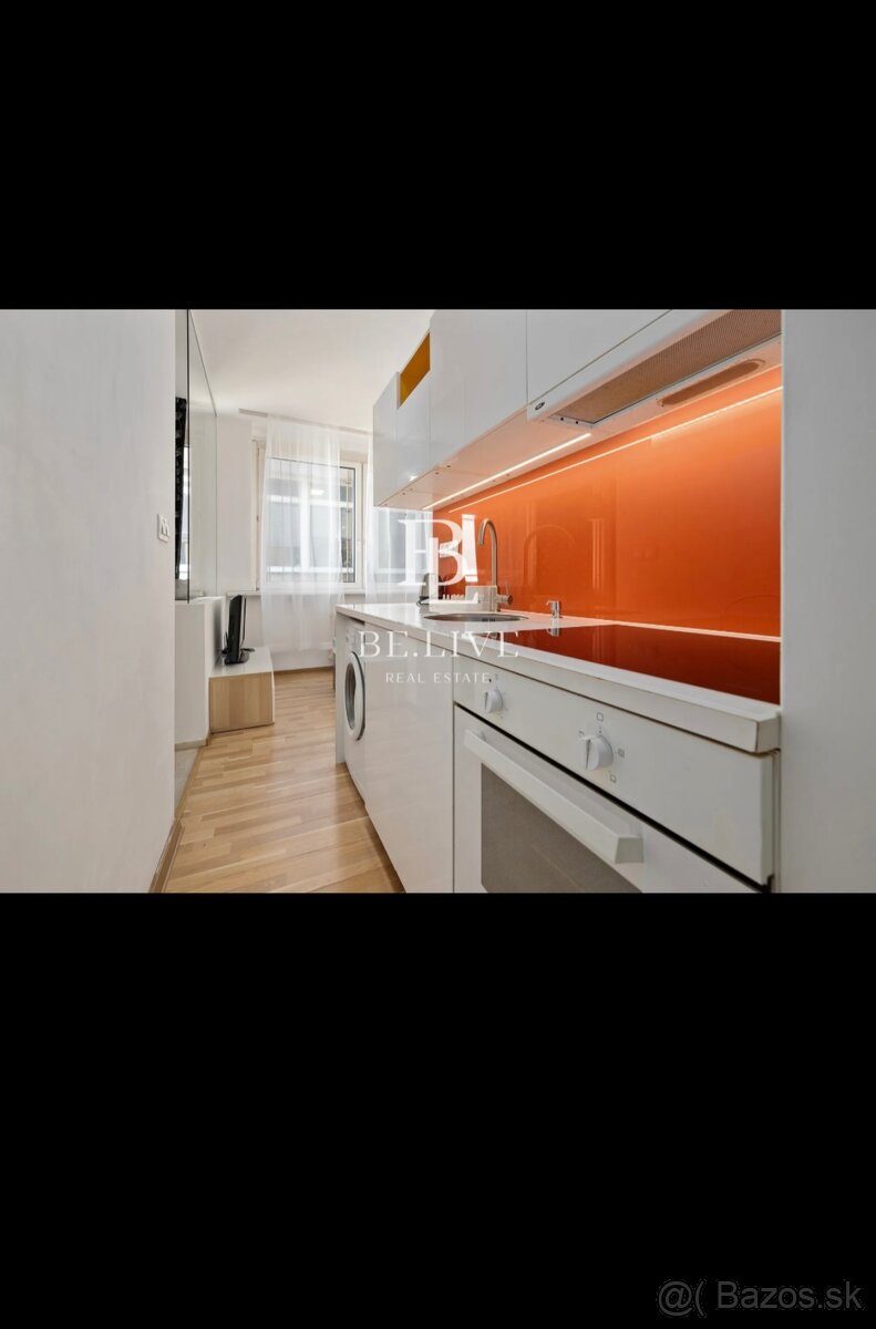 Dám do podnájmu - 3