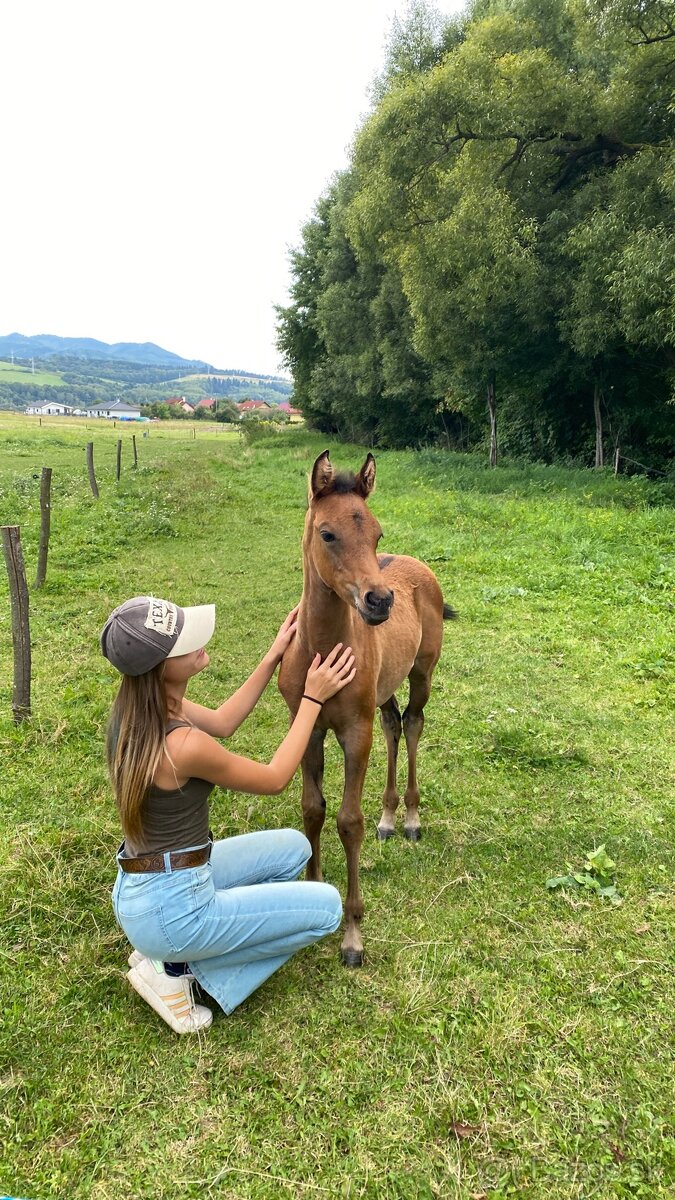 Princezná na predaj - 3