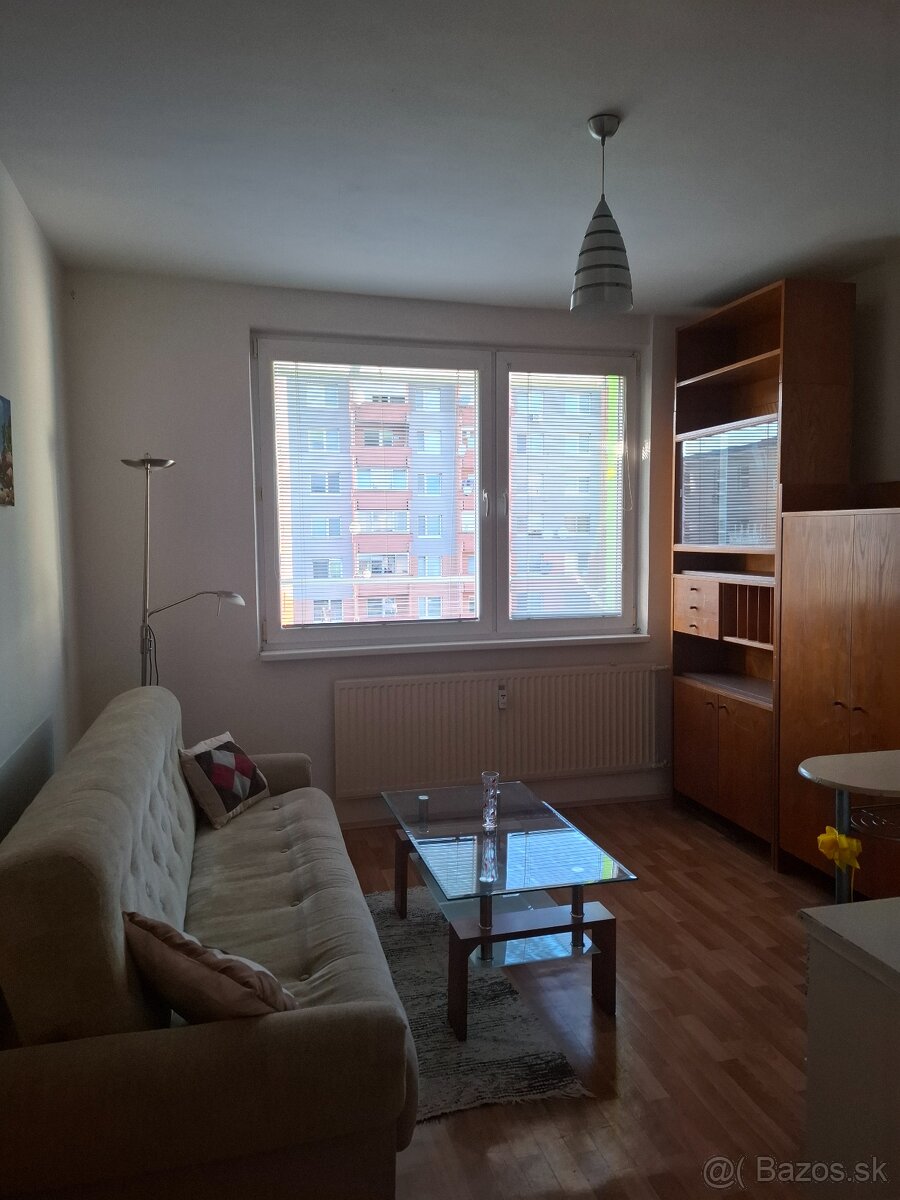 Prenajmem garsónku - 3