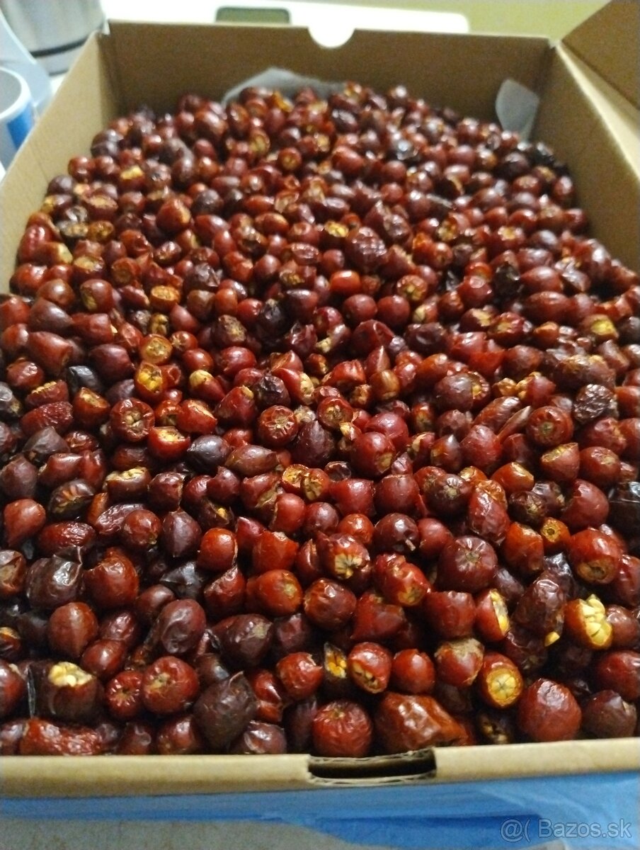 Sušené šípky - 3