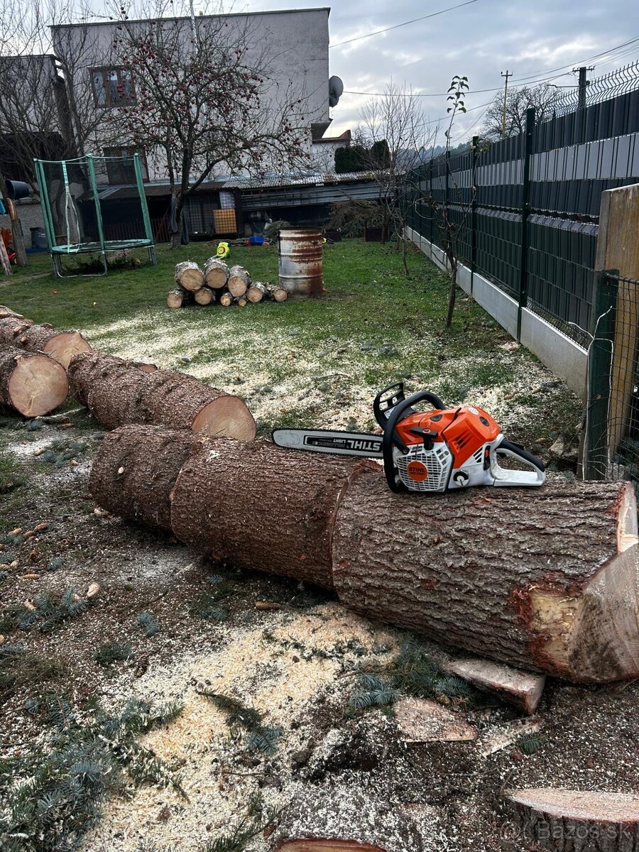 Pílenie stromov - 3