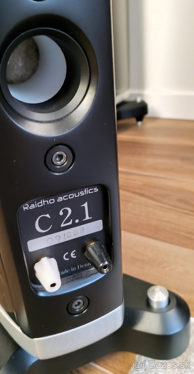 Raidho C2.1 Reproduktory - 3